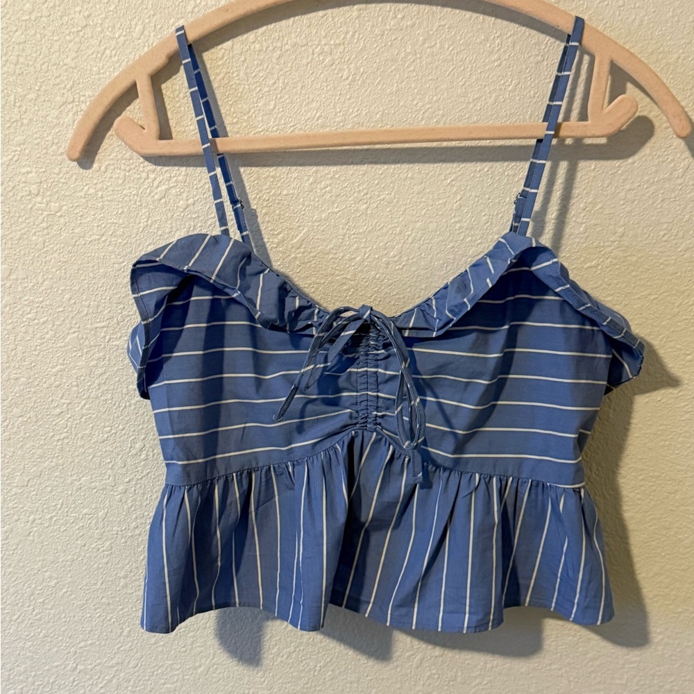 Express Blue and White Striped Crop Top